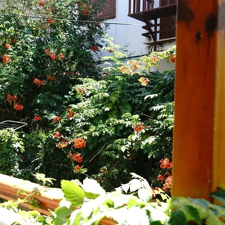 Hotel Extreme Butik Akyaka (Mugla)